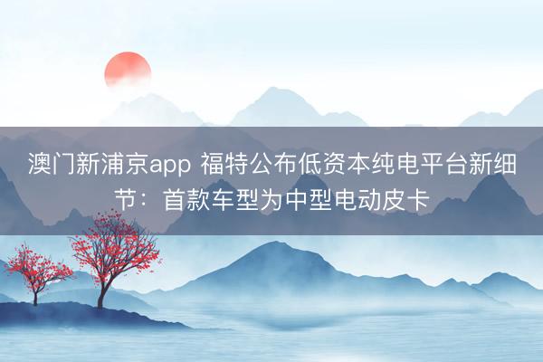 澳門新浦京app 福特公布低資本純電平臺(tái)新細(xì)節(jié)：首款車型為中型電動(dòng)皮卡