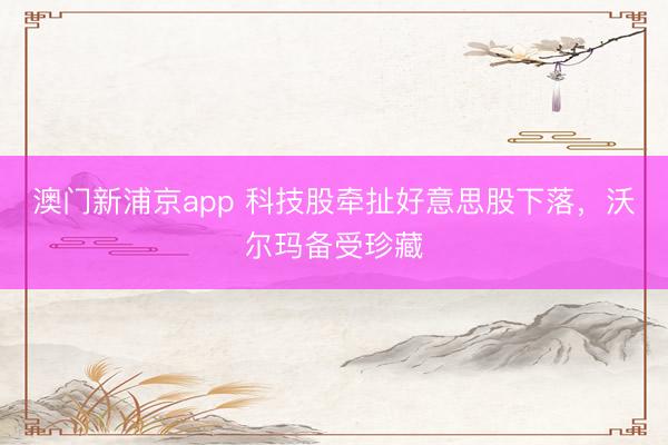 澳門新浦京app 科技股牽扯好意思股下落，沃爾瑪備受珍藏