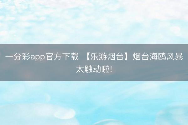一分彩app官方下載 【樂(lè)游煙臺(tái)】煙臺(tái)海鷗風(fēng)暴太觸動(dòng)啦!