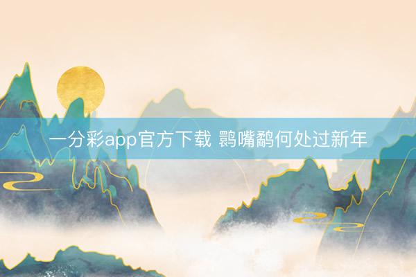 一分彩app官方下載 鹮嘴鷸何處過新年